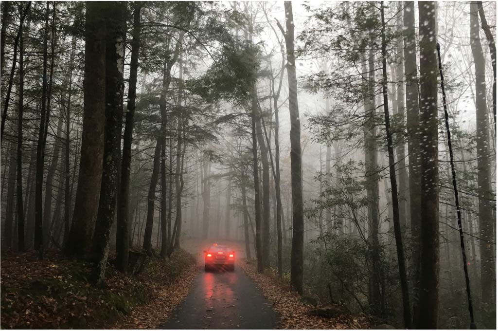 17 Things to Do on a Rainy Day in The Smokies