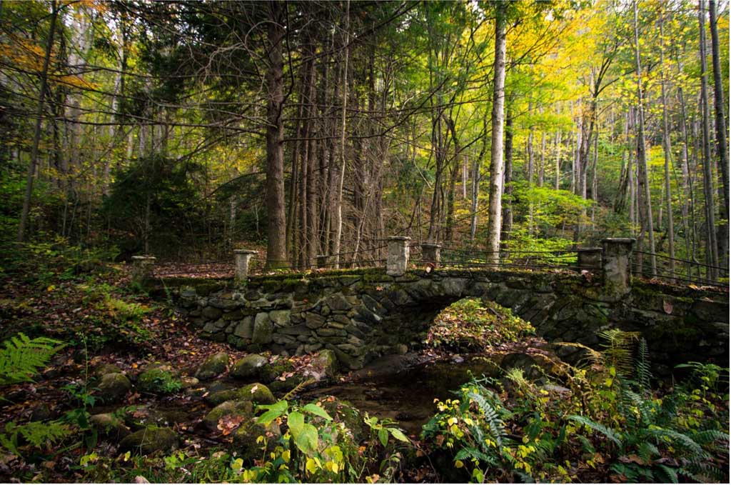 7 Beginner-Friendly Hikes in the Smoky Mountains