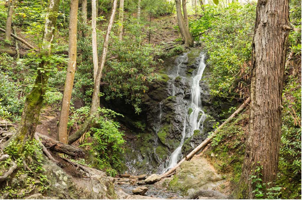 7 Beginner-Friendly Hikes in the Smoky Mountains