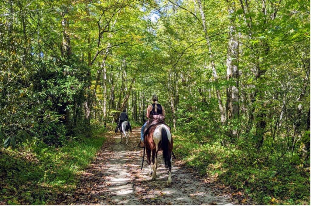 7 Unique Ways To Explore The Smoky Mountains