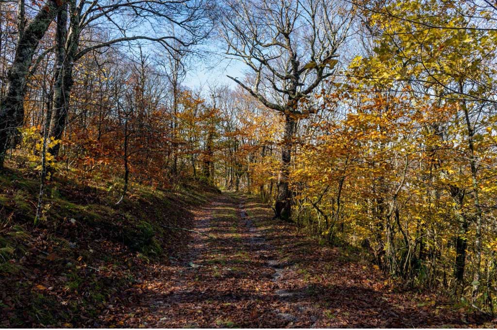 7 Unique Ways To Explore The Smoky Mountains