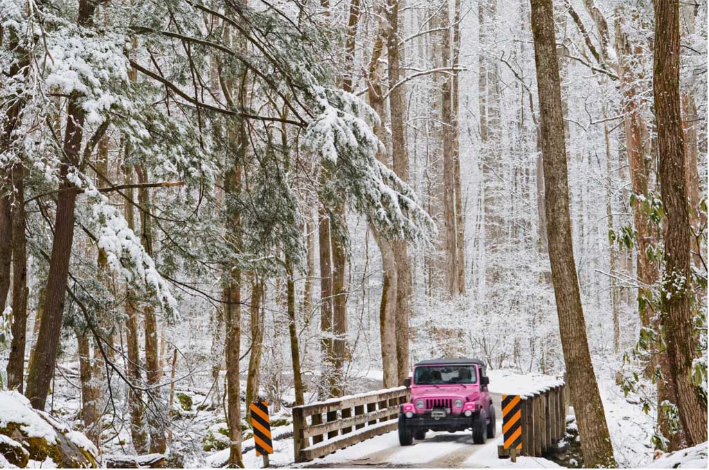 A Guide to Outdoor Winter Activities in the Smokies