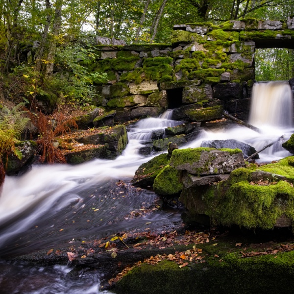 The Best Stops Along the Parkway in Pigeon Forge