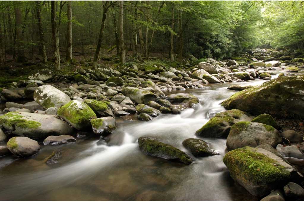 Discovering Hidden Gems - 5 Lesser-Known Trails of the Smokies