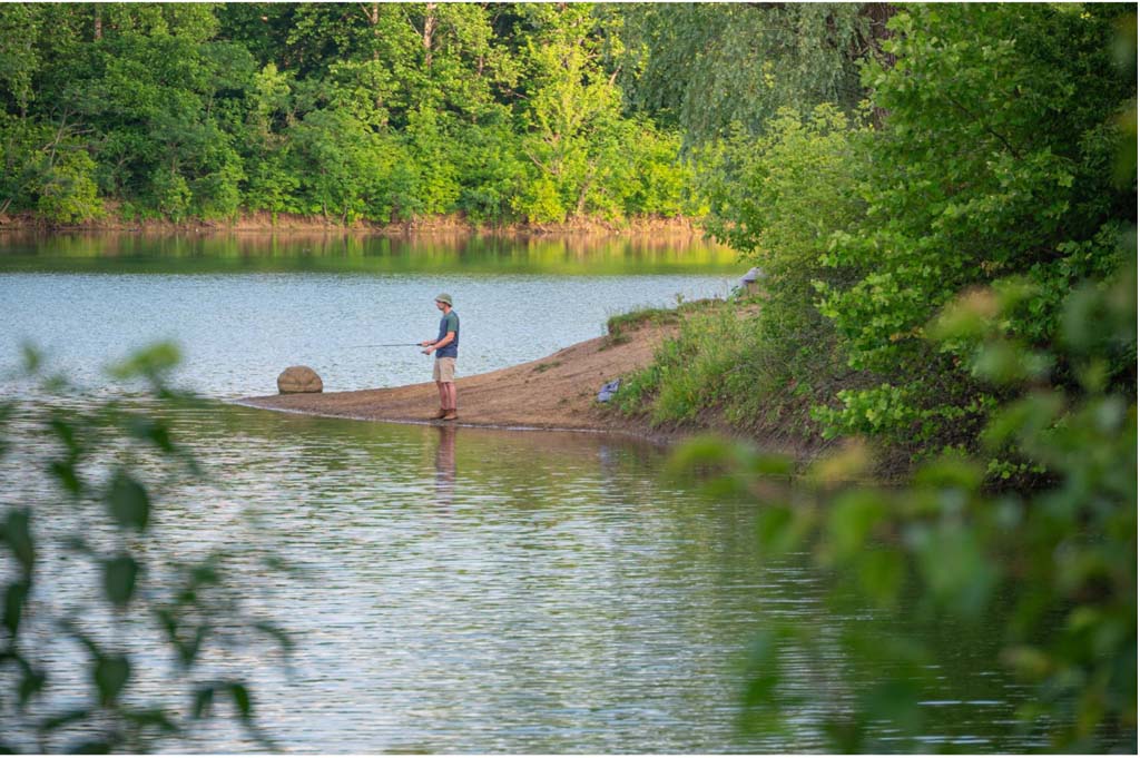 Enjoy the Perfect Day at Douglas Lake, TN