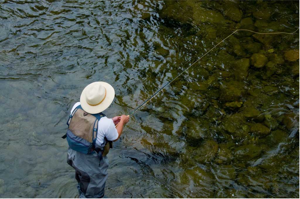 Experience Fly Fishing at its Finest In The Great Smoky Mountains