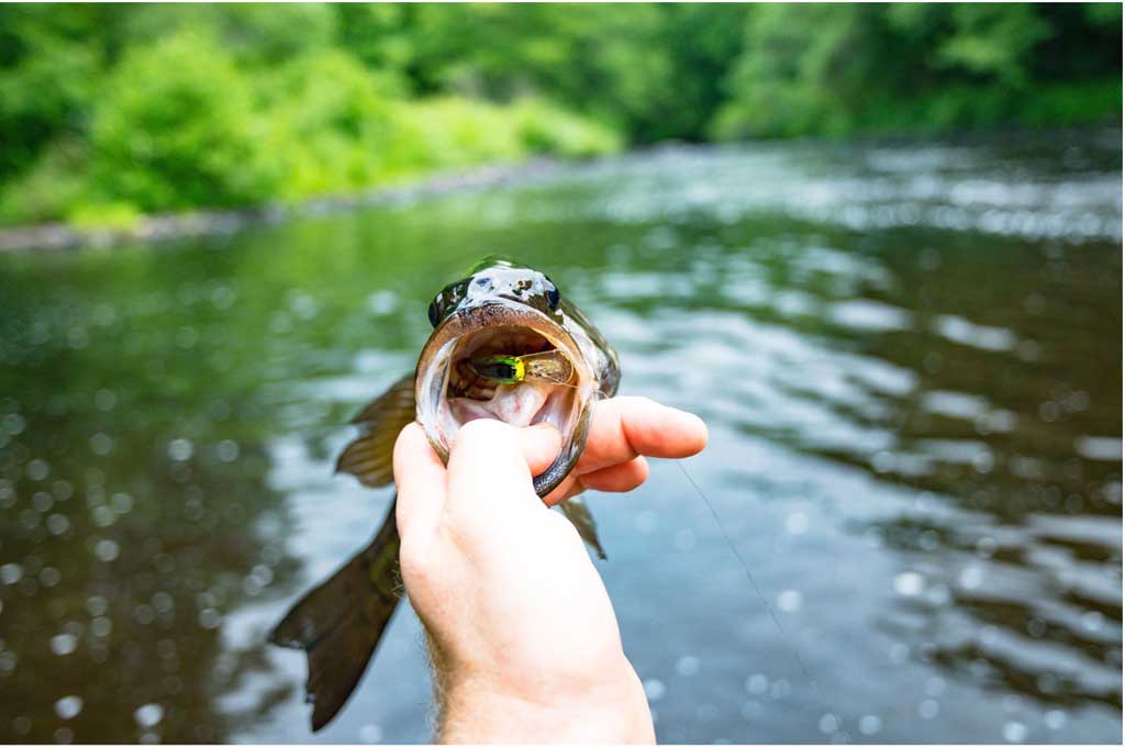 Fly Fishing The Smoky Mountains