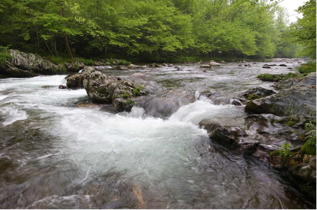 Fly Fishing The Smoky Mountains