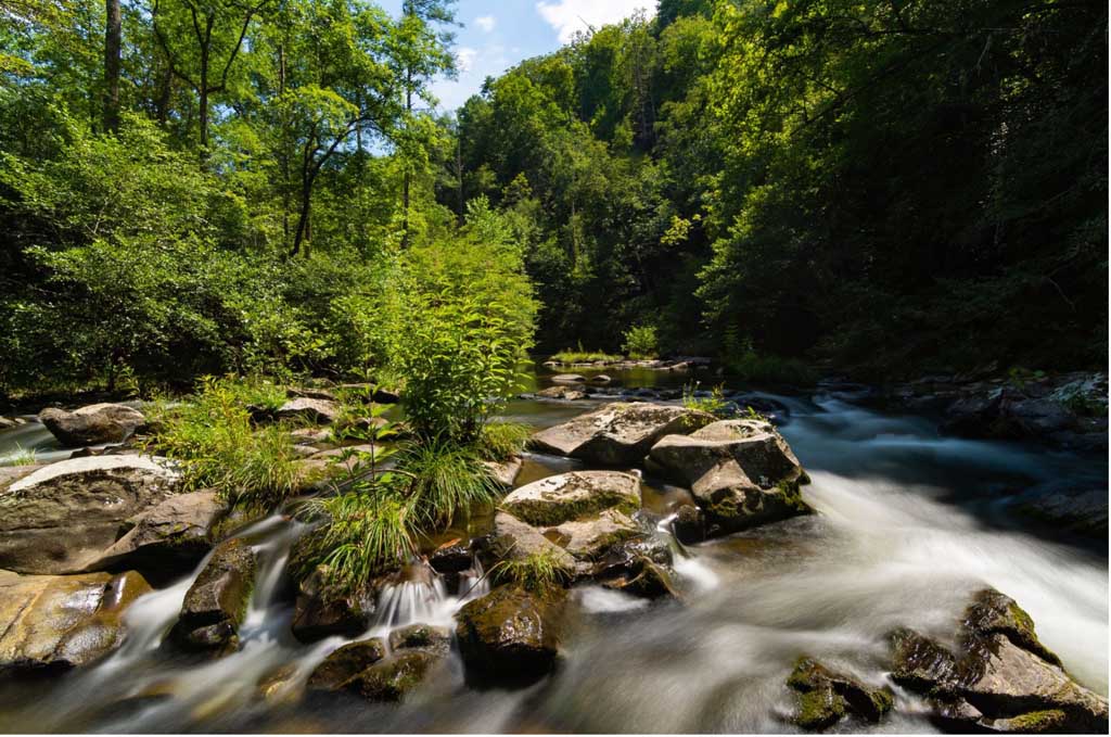 Fly Fishing The Smoky Mountains