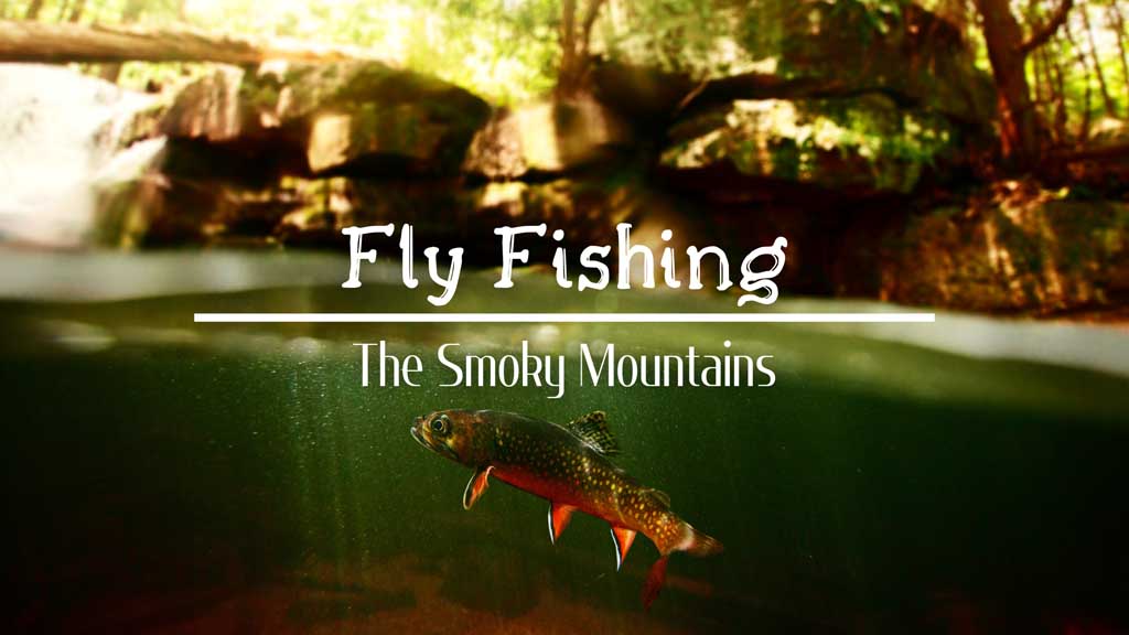 Experience Fly Fishing at its Finest In The Great Smoky Mountains of NC