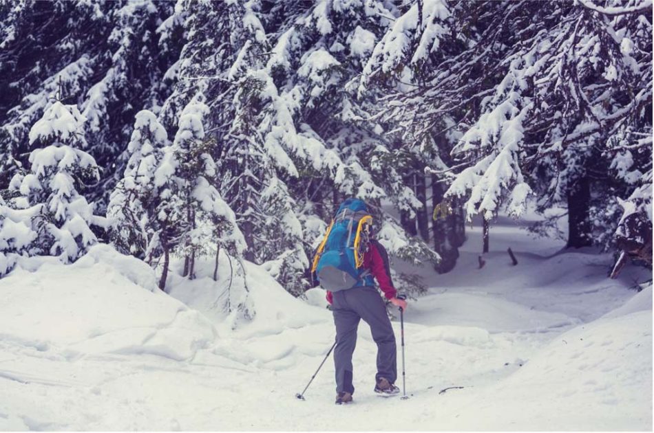 Five Great Winter Hikes In The Smoky Mountains - Parkside Resort