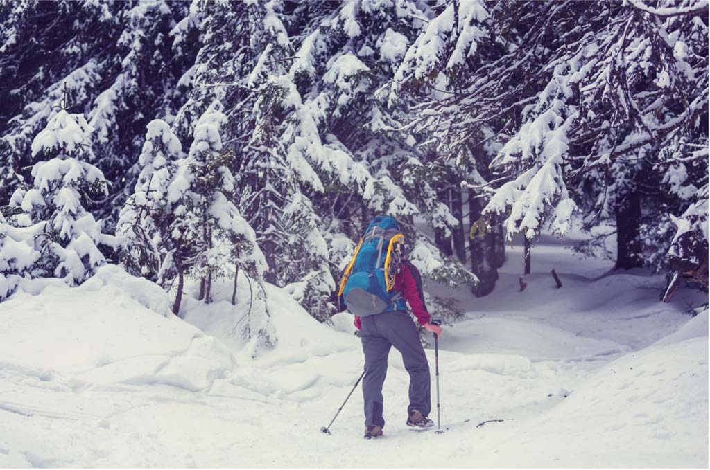 Great Winter Hikes In The Smoky Mountains