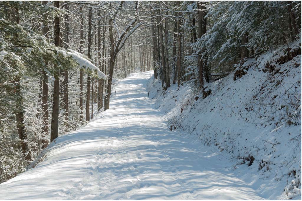 Great Winter Hikes In The Smoky Mountains