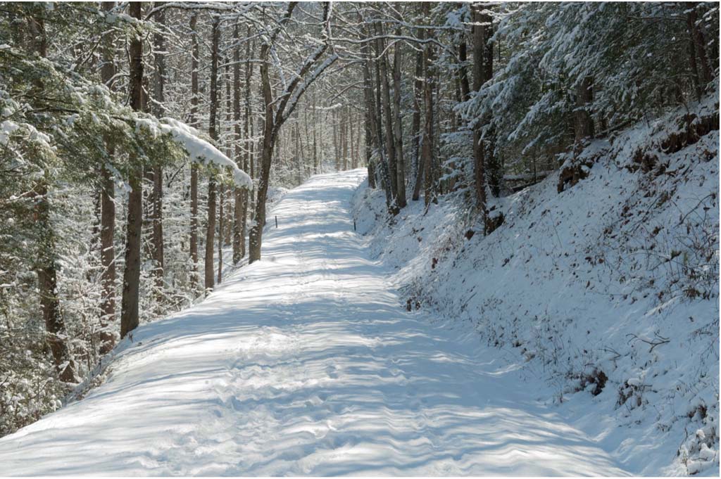 Best winter hikes in the outlet smokies