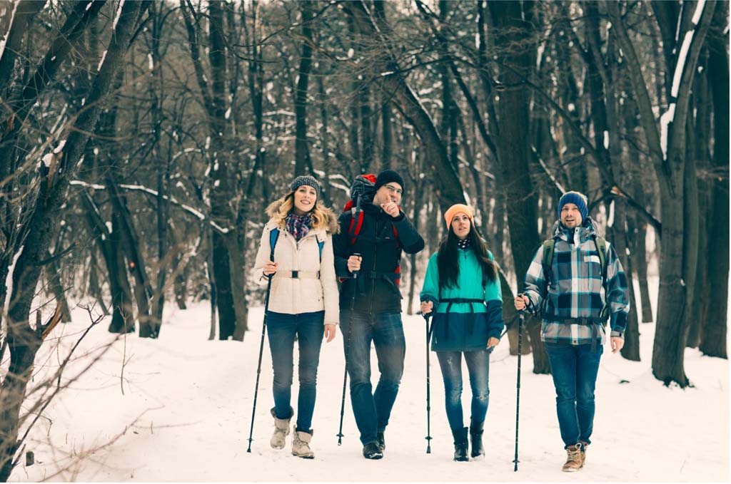 Great Winter Hikes In The Smoky Mountains