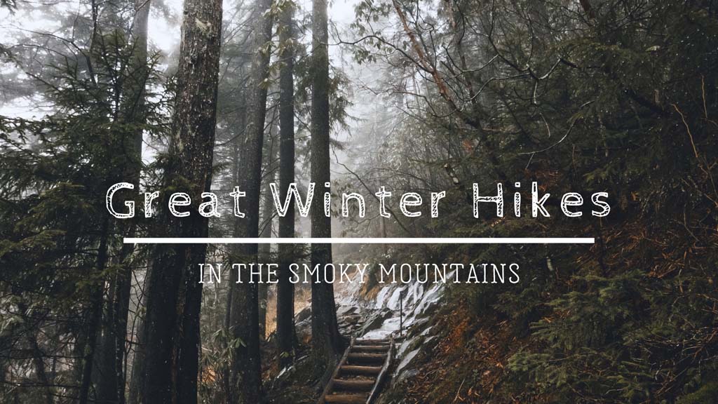 Great Winter Hikes In The Smoky Mountains