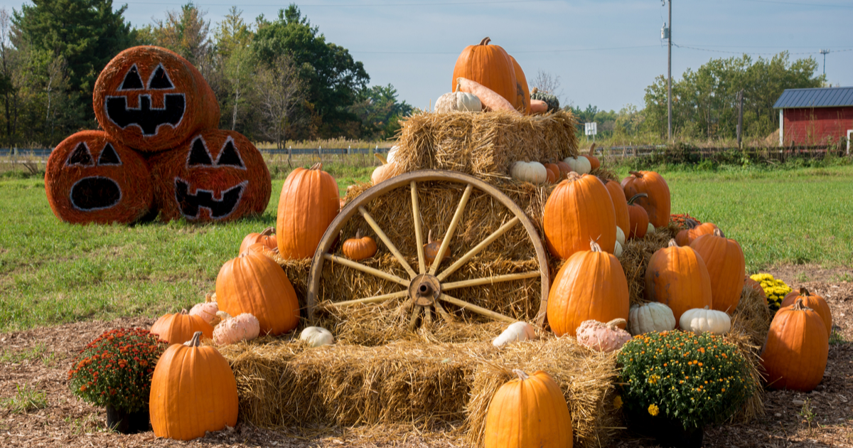 Smoky Mountains Fall Harvest Festival at Dollywood