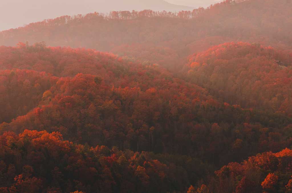 Thanksgiving Cabins in Pigeon Forge Making New Traditions in the Smokies