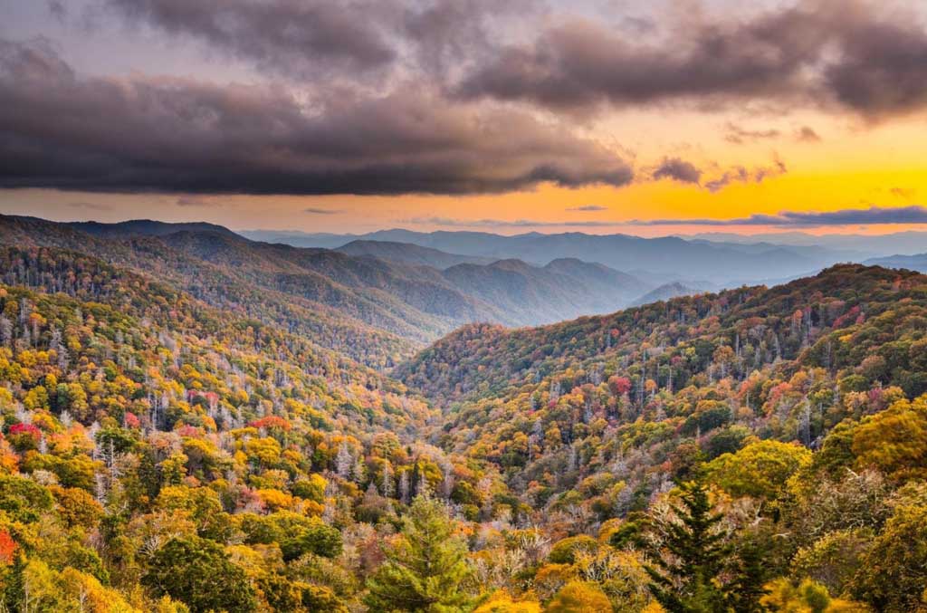 Thanksgiving Cabins in Pigeon Forge Making New Traditions in the Smokies