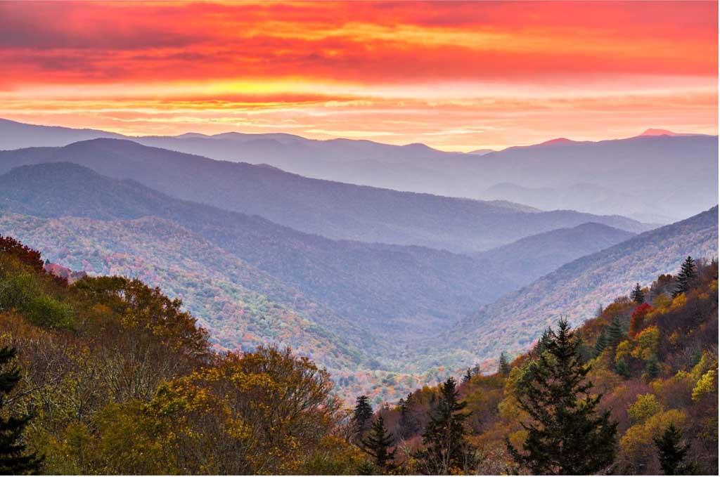 The Ultimate Guide to Fall and Winter Photography in the Smoky Mountains