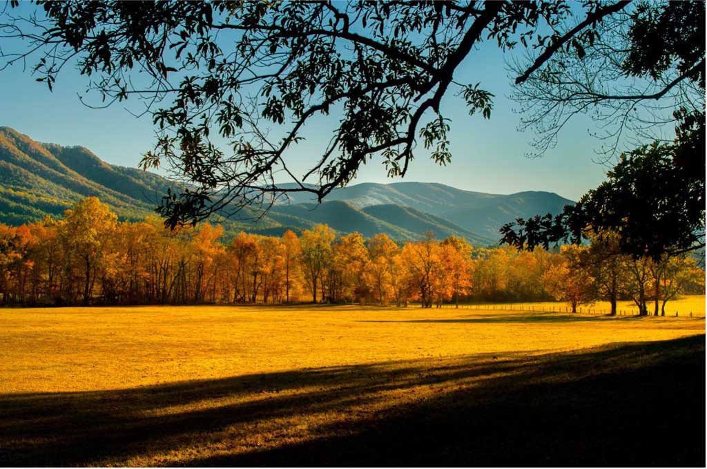 The Ultimate Guide to Fall and Winter Photography in the Smoky Mountains