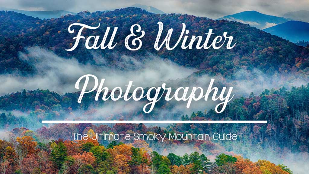 The Ultimate Guide to Fall and Winter Photography in the Smoky Mountains